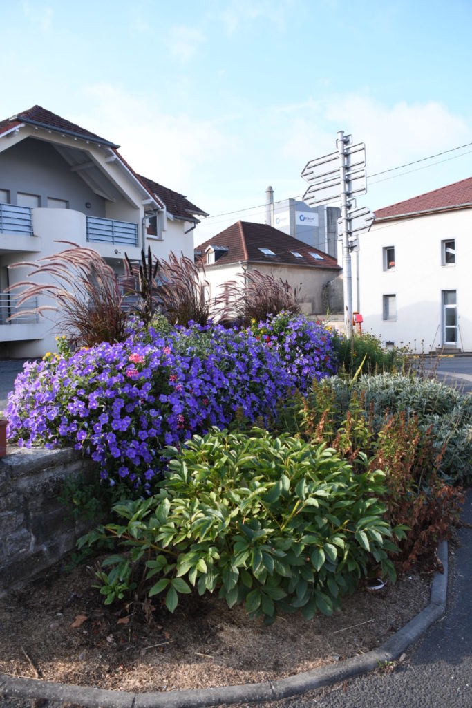 Village fleuri Héming bosquet