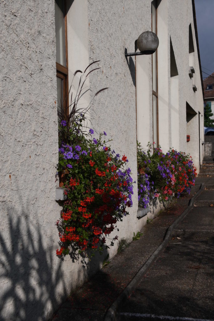 Village fleuri Héming fenêtre