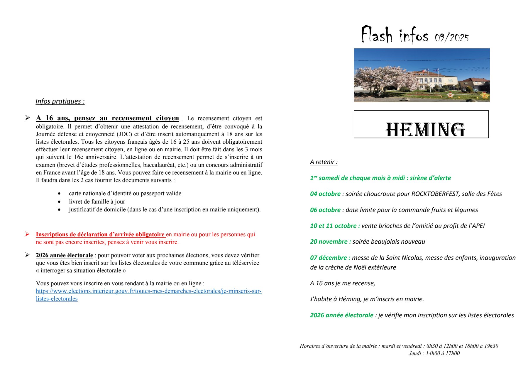flash_info_heming