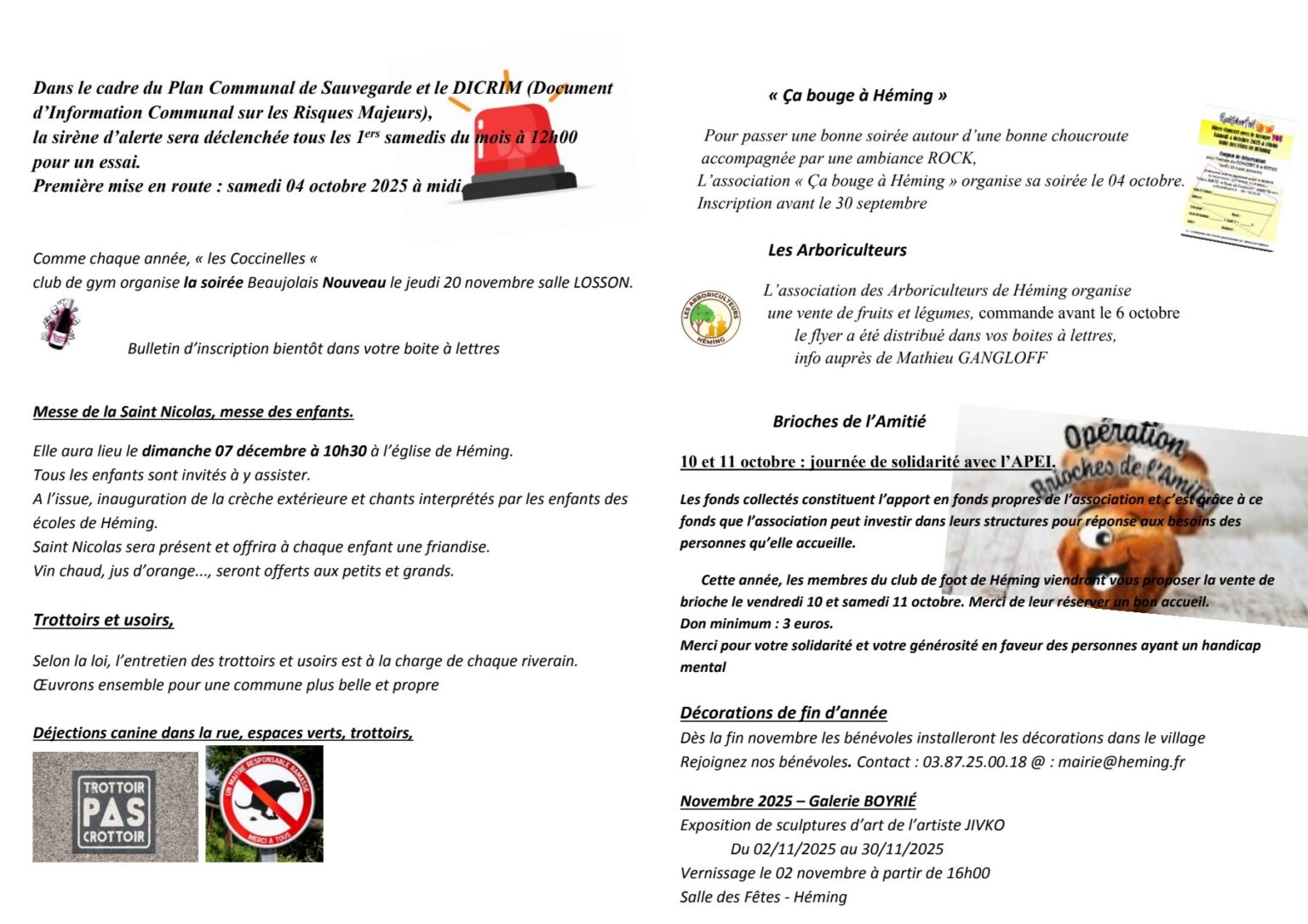 flash_info_heming_2